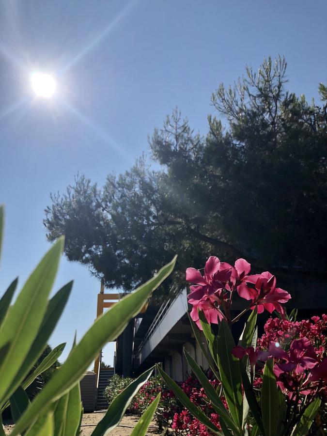 Premiere Classe Perpignan Sud Eksteriør bilde